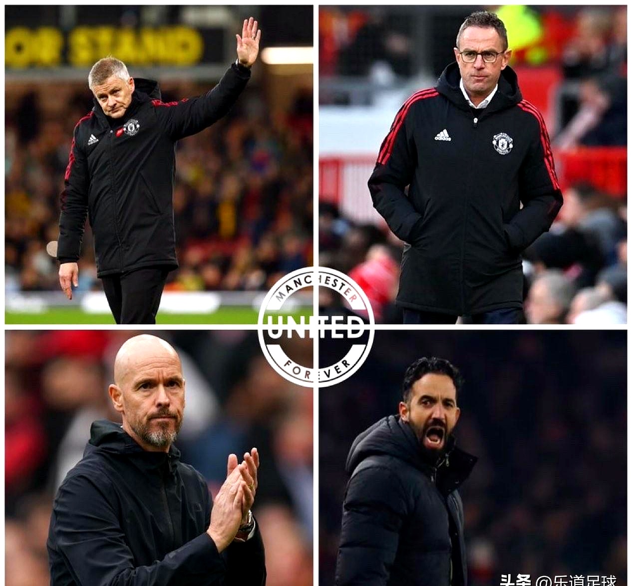 包含赛后体能课后，萨克拉门托国王刷新队史纪录备战欧篮联，更衣室稳定，赛程密集仍需轮换的词条-开云官网